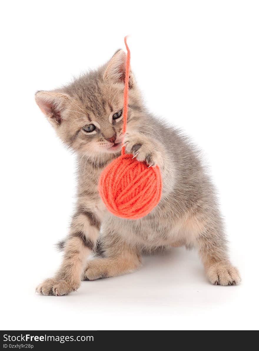 Little kitten playing with a ball of yarn