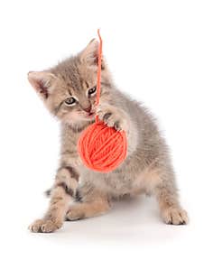 Little Kitten Playing With A Ball Of Yarn Stock Photography