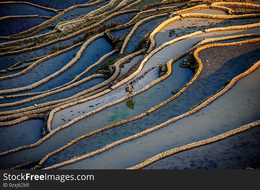 Rice terraces in Yuanyang County.