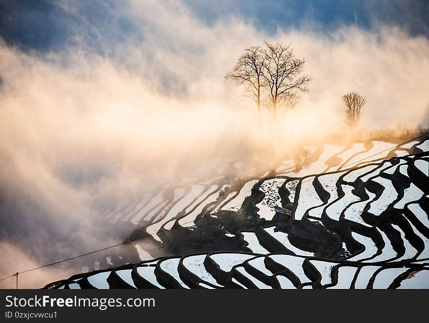 Rice terraces of Yunnan province amid the scenic morning fog. Yuanyang County. China.