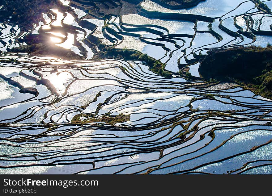 Rice terraces in Yuanyang County. Yunnan Province. China.