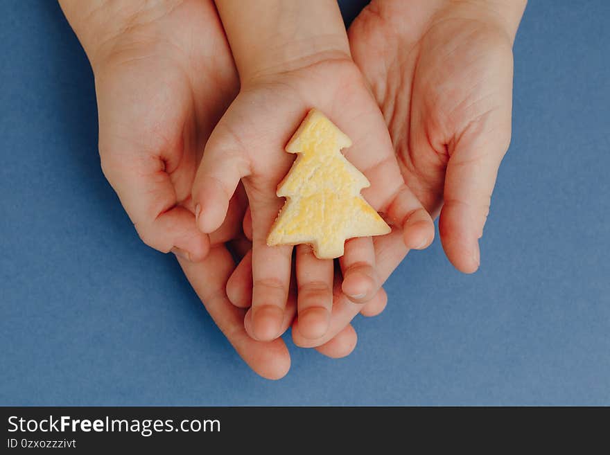 mother and child holding a Christmas tree cookie in hands, blue paper background