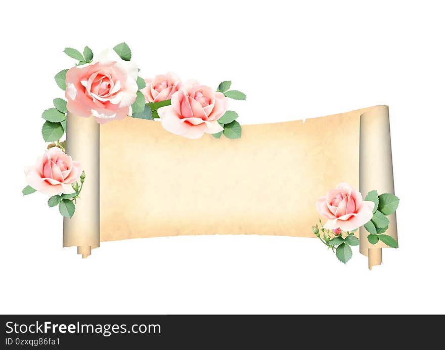 Horizontal retro banner with branch of Climbing rose with red flowers and medieval scroll. Vintage banner with roses. Isolated on white background. Mock up template. Copy space for text. Horizontal retro banner with branch of Climbing rose with red flowers and medieval scroll. Vintage banner with roses. Isolated on white background. Mock up template. Copy space for text