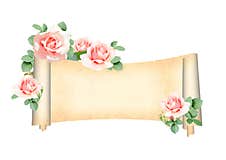 Retro Banner With Branch Of Climbing Rose And Medieval Scroll Royalty Free Stock Image