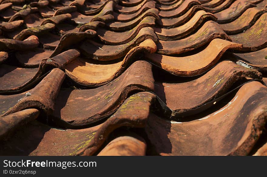 Closeup of orange clay roof tiles partly overgrown with lichens. This kind of roof tiles are in use for hundreds of years in Europe. Closeup of orange clay roof tiles partly overgrown with lichens. This kind of roof tiles are in use for hundreds of years in Europe.