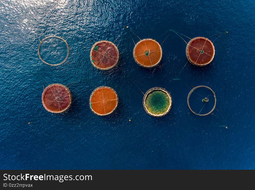 Aerial top view of the rings of fish aqua farm in the sea of madeira Portugal Europe