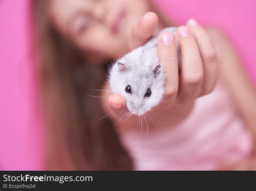 A girl holds a hamster on pink background