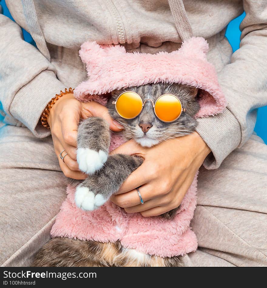 Owner in pajamas poses and relaxing with her cat dressed in glamorous and fashionable pet clothes and wearing trendy