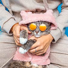 Owner In Pajamas Poses And Relaxing With Her Cat Dressed In Glamorous And Fashionable Pet Clothes And Wearing Trendy Stock Photography