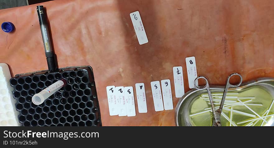 Corona virus Covid19 rapid antigen testing kit under observation after swab collection and test on the table numbered arranged in line.