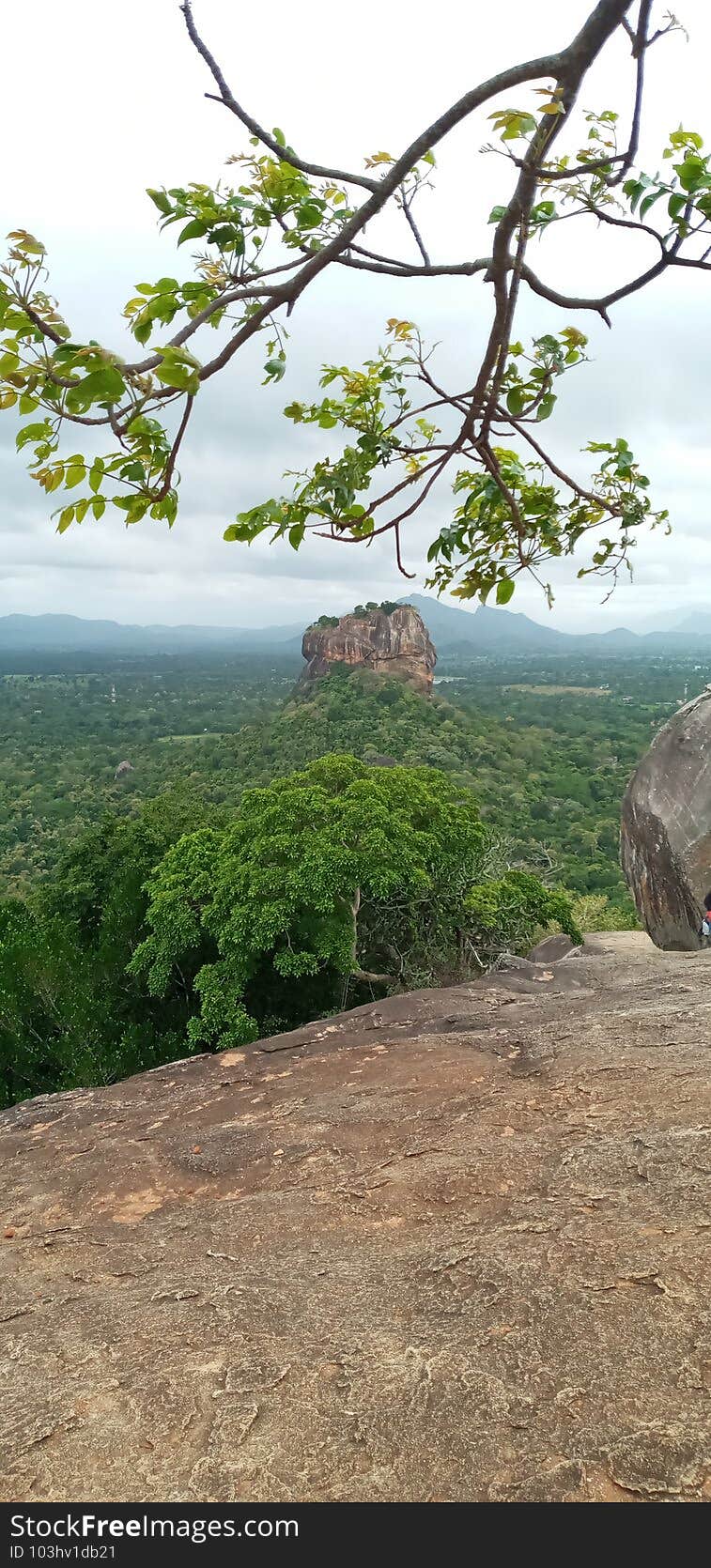 Lion Rock Sri Lanka (Sigiriya)