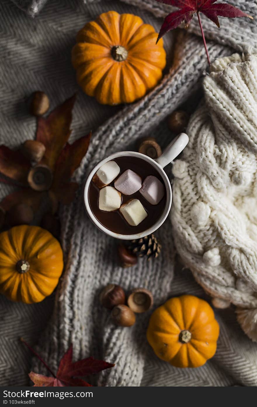 Mug of hot chocolate with marshmallows in autumn