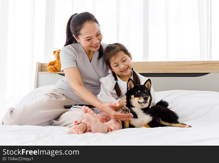 Mother and daughter playing with black Shiba Inu on bed. Concept family with dog at home. Mother and daughter playing with black Shiba Inu on bed. Concept family with dog at home.