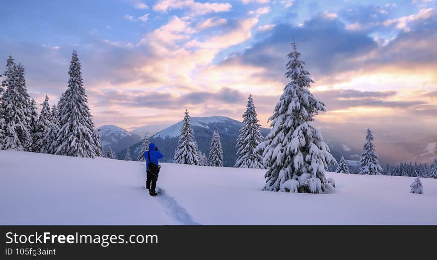 High mountains with snow white peaks. Winter forest. Amazing sunrise. A panoramic view of the covered with frost trees in the