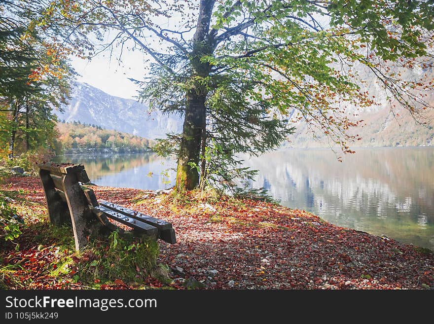 Bench near picturesque lake Bohinj in the Triglav National Park in Slovenia. Autumn landscape