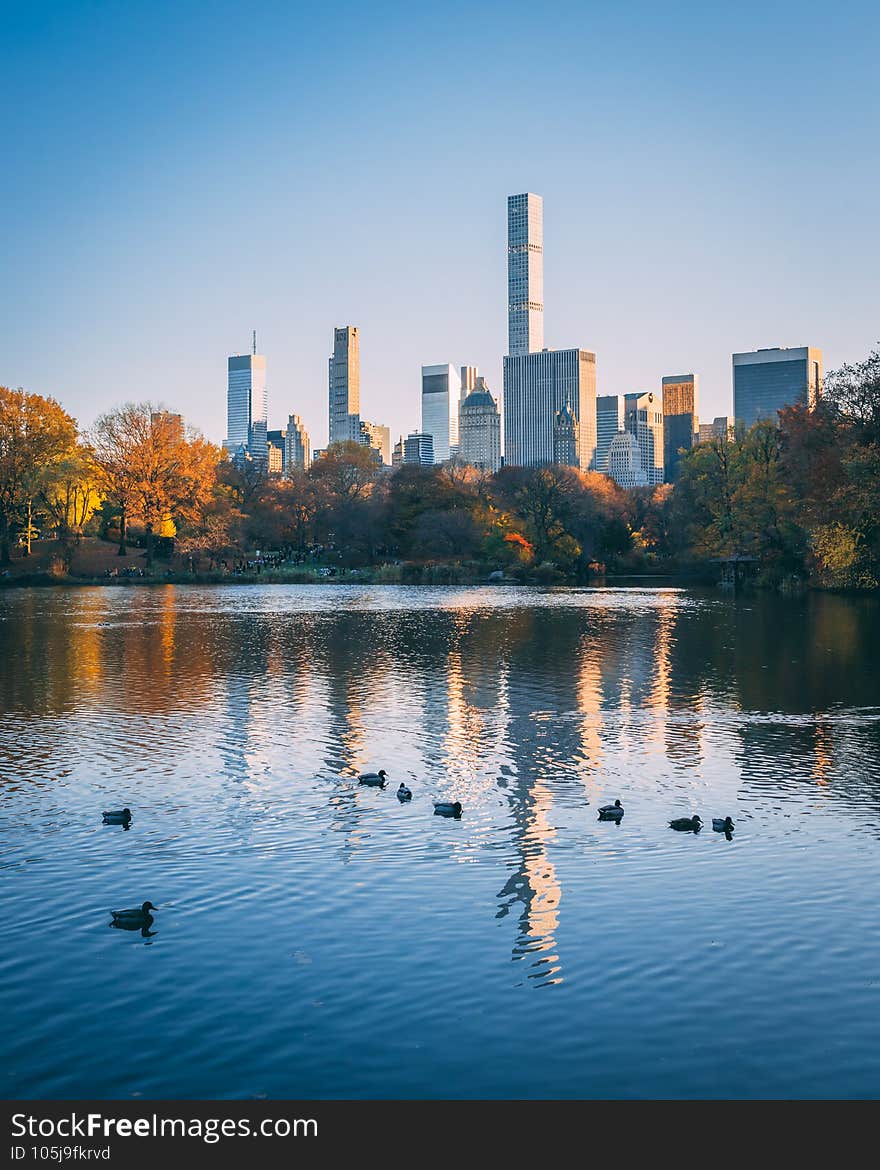 The Midtown Manhattan skyline, and The Lake at Central Park, New York City