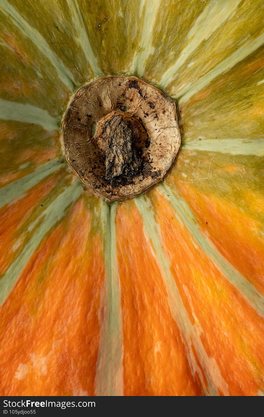 Vegetable surface texture. Detail of nature. Natural background