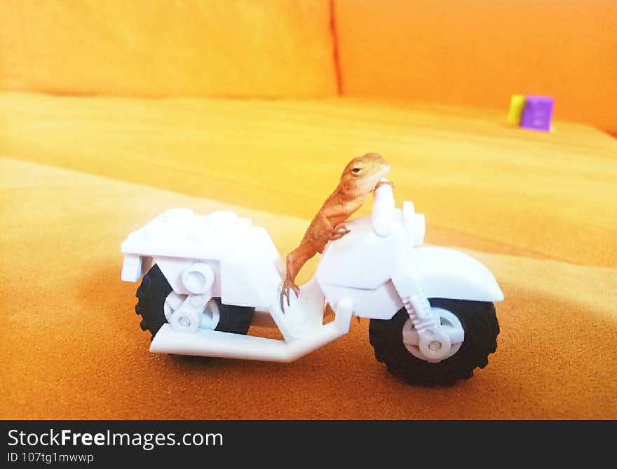 a little lizard wants to have fun by riding a lego motorbik. a little lizard wants to have fun by riding a lego motorbik