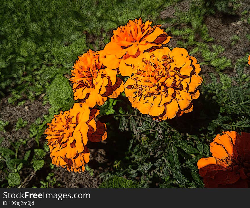 Illustration Of Yellow Flowers