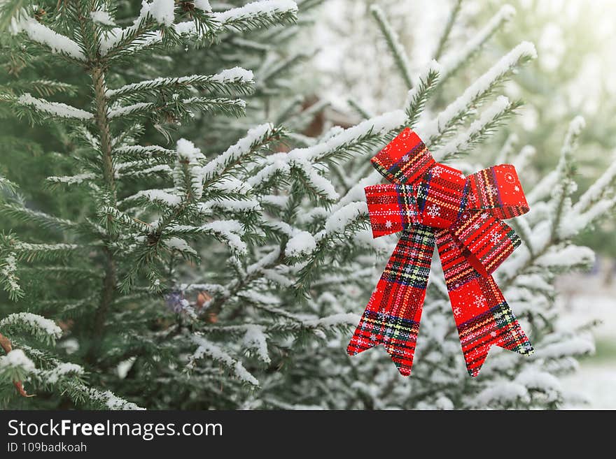 New year decoration red big bow on a snow-covered branch. Christmas tree toy on the branches of a fir tree covered with snow