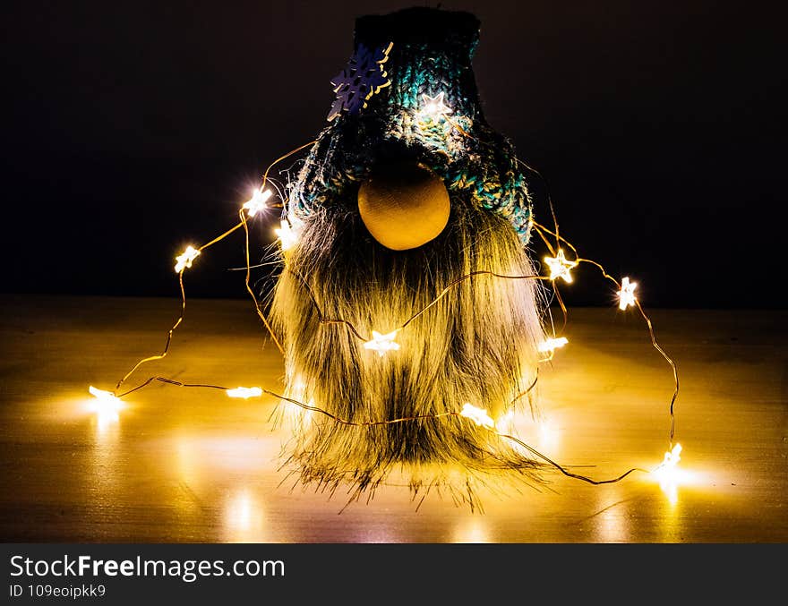 Bearded Dwarf With Christmas Lights