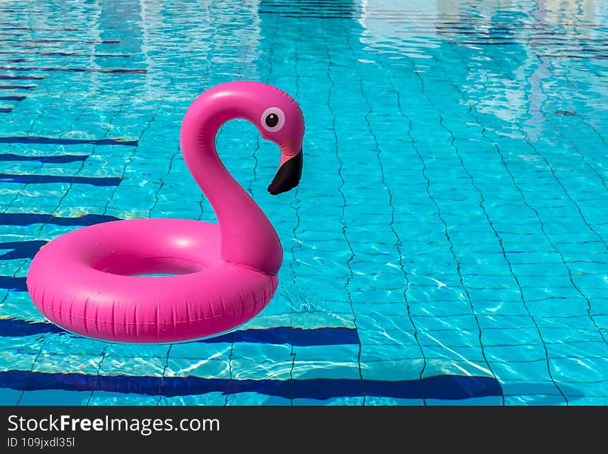 Flamingo isolated. Pink inflatable flamingo in pool water for summer beach background. Pool float party