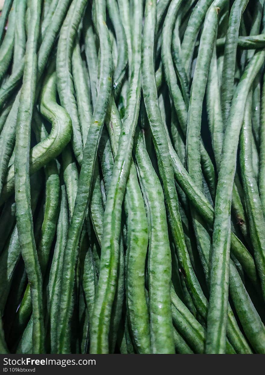 Long bean in a container