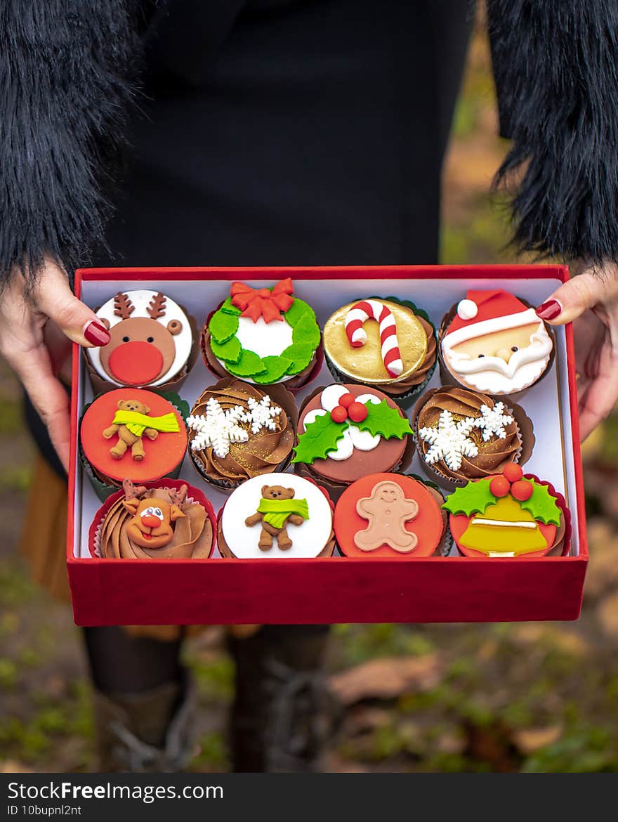 Box of colorful yummy Christmas cupcakes with different decorations