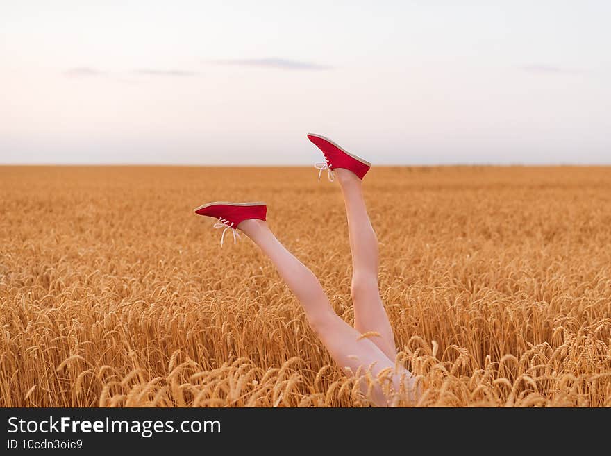 Beautiful slender female legs sticking out of field of ripe wheat. gluten free concept.