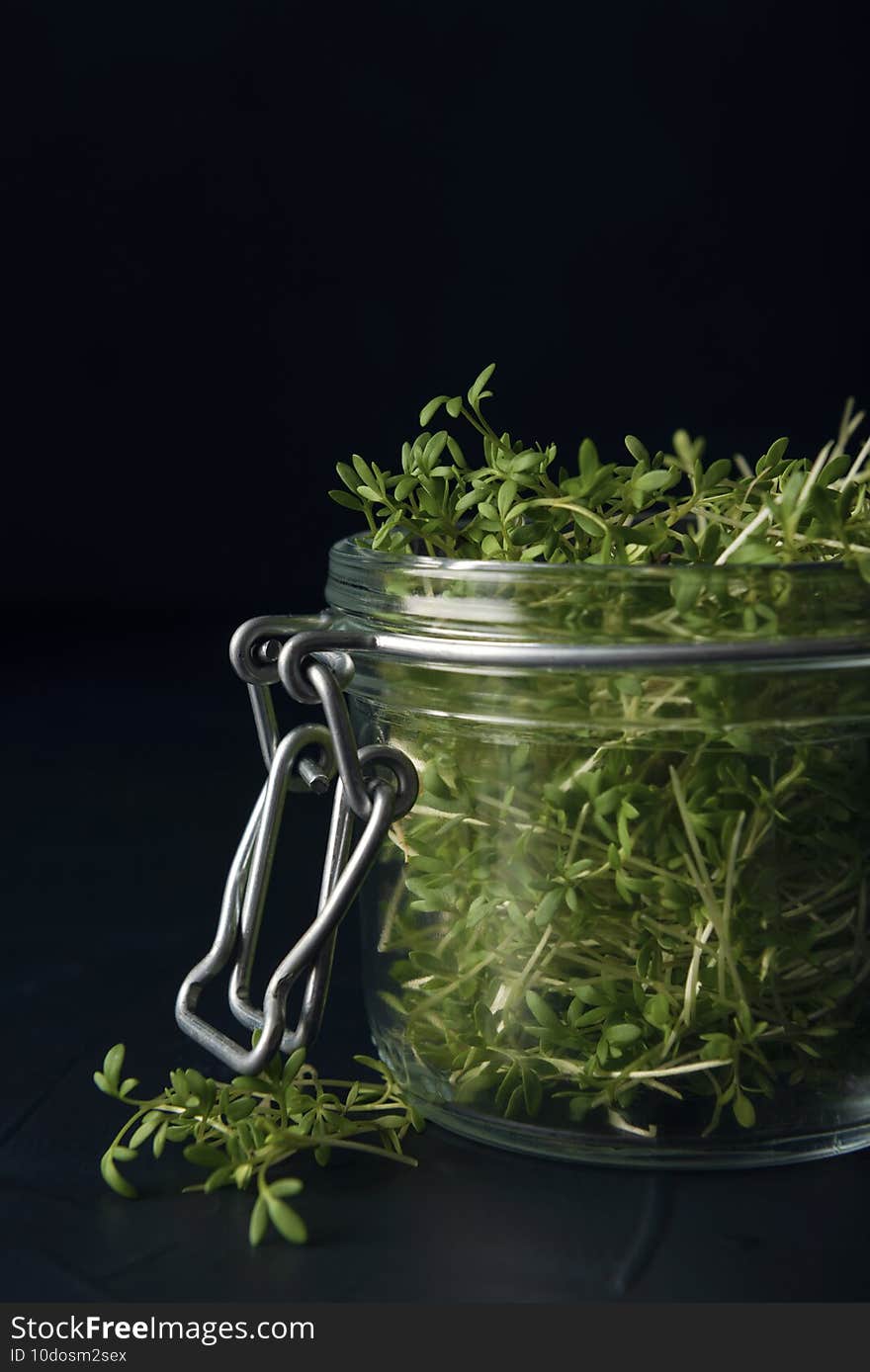 Glass jar with watercress microgreens on the dark background