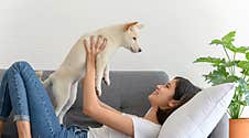 Beautiful Young Asian Woman Lying On Sofa And Playing With White Shiba Inu Puppy In Living Room At Home. Stock Photo