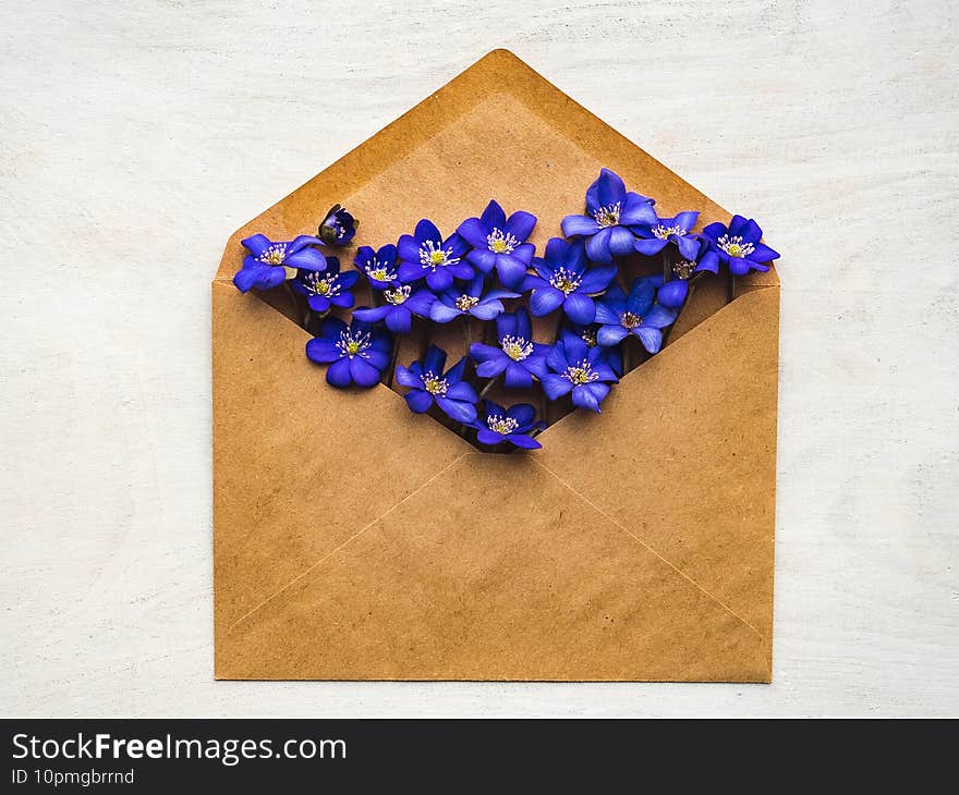 Bright flowers and a place for the inscription