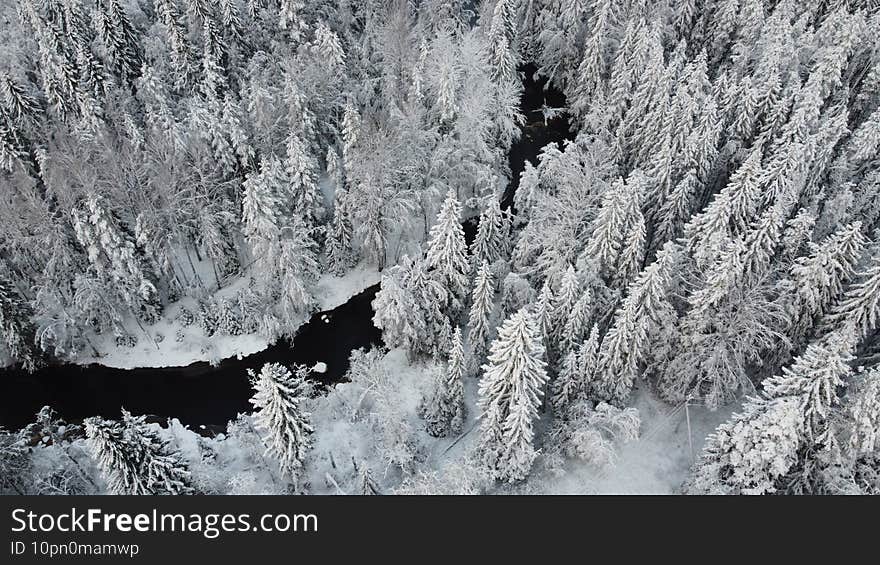 Drone photo of the river in winter forest with the snow-covered trees in Russia Karelia