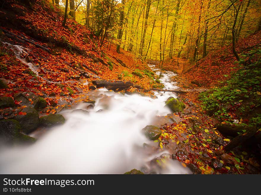 Yedigöller National Park is located in the Black Sea Region, in the north of Bolu, in the south of Zonguldak, in the south of Düzce, in the east of Düzce.