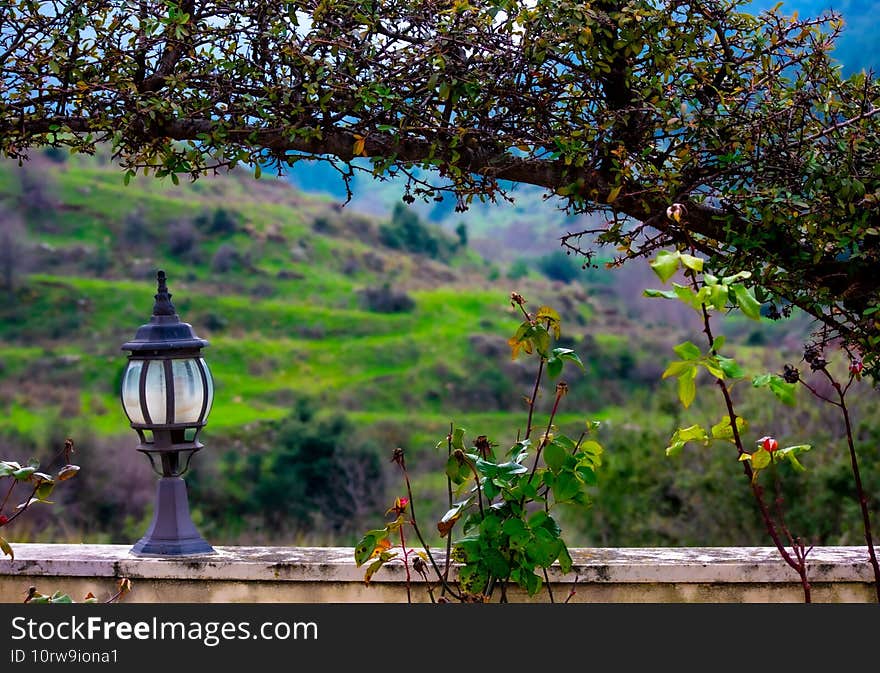 Lantern on a stone wall underneath a hedge arch