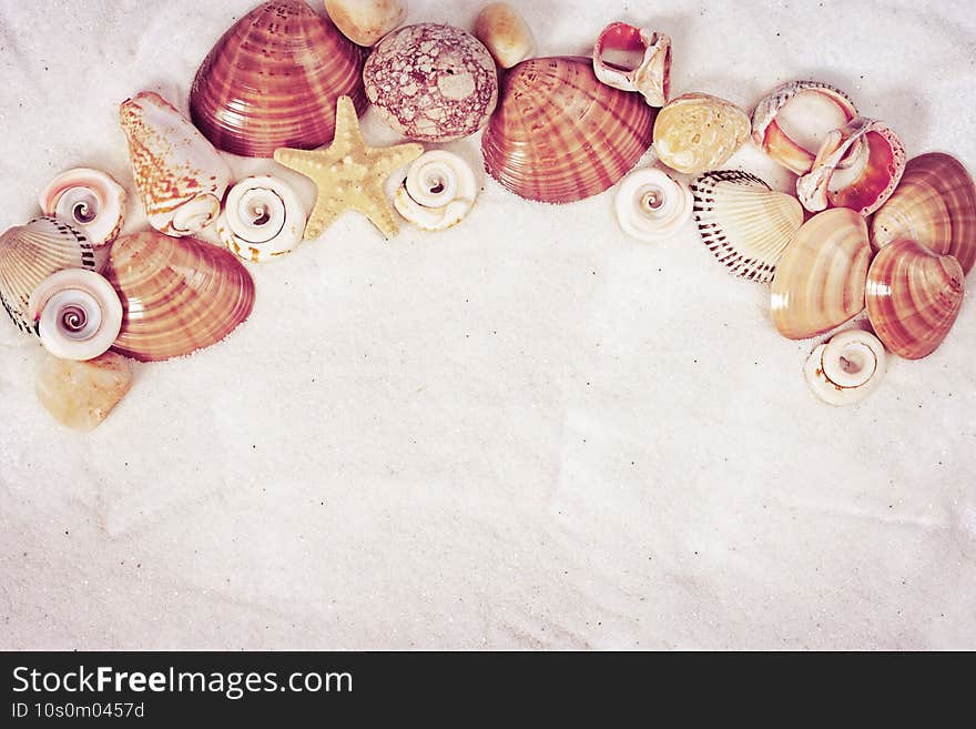 Composition of seashells and sea stones on sandy surface