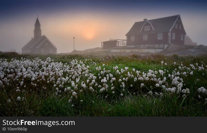 Greenland Ilulissat Zion Church in sunset with flowers