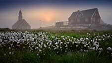 Greenland Ilulissat Zion Church In Sunset With Flowers Royalty Free Stock Images