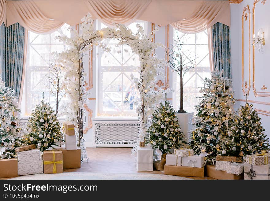 Winter decoration, Christmas trees with gifts boxes, New Year winter concept. White flowers. Winter decoration, Christmas trees with gifts boxes, New Year winter concept. White flowers