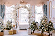 Winter Decoration Of Room, Christmas Trees Stock Image