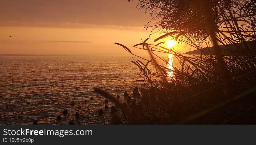 Blushing sunset in Sochi