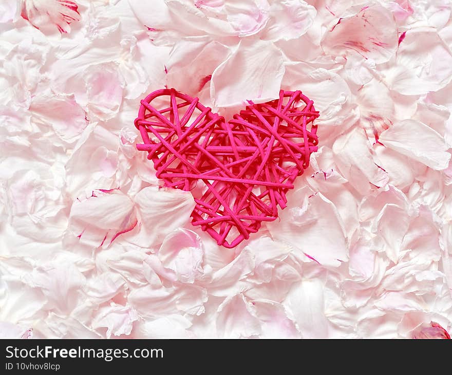 A red wicker heart shape is among the fresh petals of a peony. Minimalistic floral background for valentine`s day. Flat lay. Top view