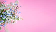 Floral Spring Background. White And Blue Flowers On A Pastel Pink Background. Top View, Copy Space Stock Photo