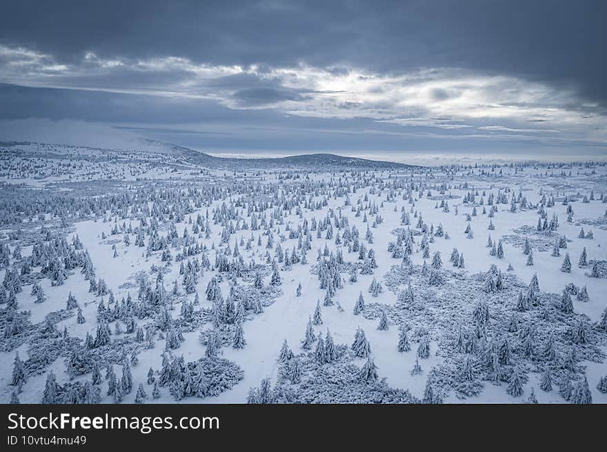 Krokonose mountains is located in northeastern Bohemia and in the south of the Polish part of Silesia. The highest mountain in the Giant Mountains and the whole of the Czech Republic is Snezka 1603m. Krokonose mountains is located in northeastern Bohemia and in the south of the Polish part of Silesia. The highest mountain in the Giant Mountains and the whole of the Czech Republic is Snezka 1603m.