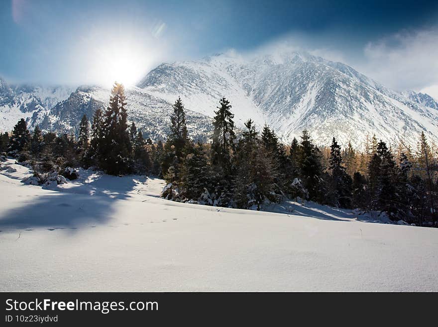 Breathtaking beauty of winter in mountain valley