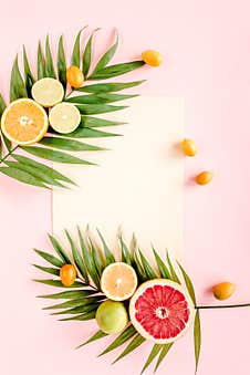 Female Hand Holding Half Coconut On White Background. Flat Lay, Top View Royalty Free Stock Images