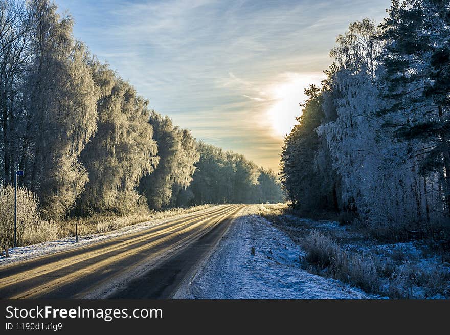 Beautiful landscape. The road in the winter forest receding into the distance at sunrise. Beautiful landscape. The road in the winter forest receding into the distance at sunrise.
