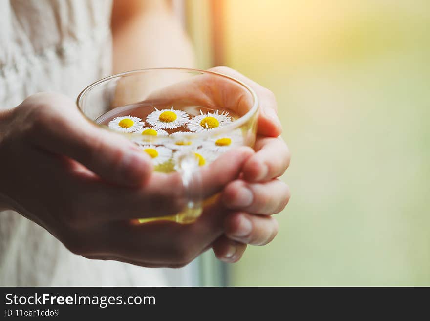 Female hands holding cup of herbal tea with chamomile flowers