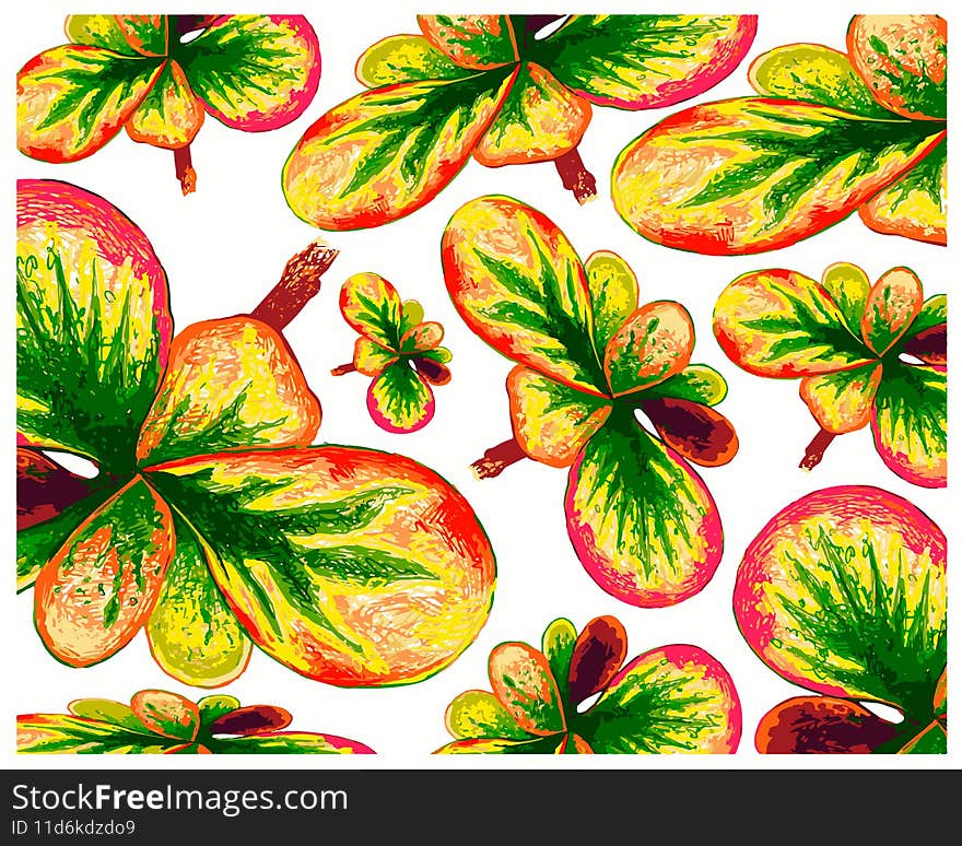 Croton Plant with Yellow and Green Leaves  Background