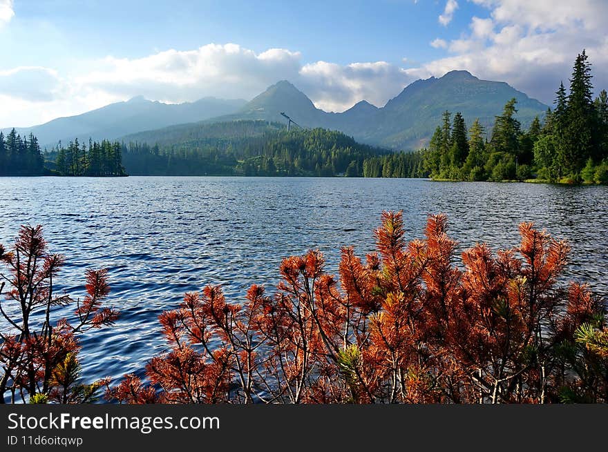 Photo of Slovak mountain lake Štrbské pleso in High Tatras mountains with dry dwarf mountain pine in the foreground on a sunny day. Photo of Slovak mountain lake Štrbské pleso in High Tatras mountains with dry dwarf mountain pine in the foreground on a sunny day